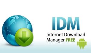 Internet Download Manager IDM 中文便携版 v6.42.2-优源网
