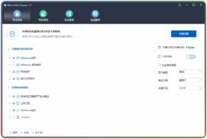 磁盘清理工具便携版 Wise Disk Cleaner 11.0.6.820-优源网