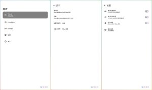 SKIP V2.0.0跳过APP开屏广告软件(李跳跳同款)-优源网