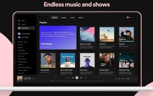 Spotify for Windows v1.2.30.1135 流媒体音乐播放软件-优源网
