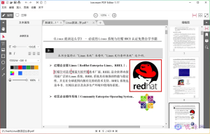 IceCream PDF Editor Pro v3.19 中文绿色便携版-优源网